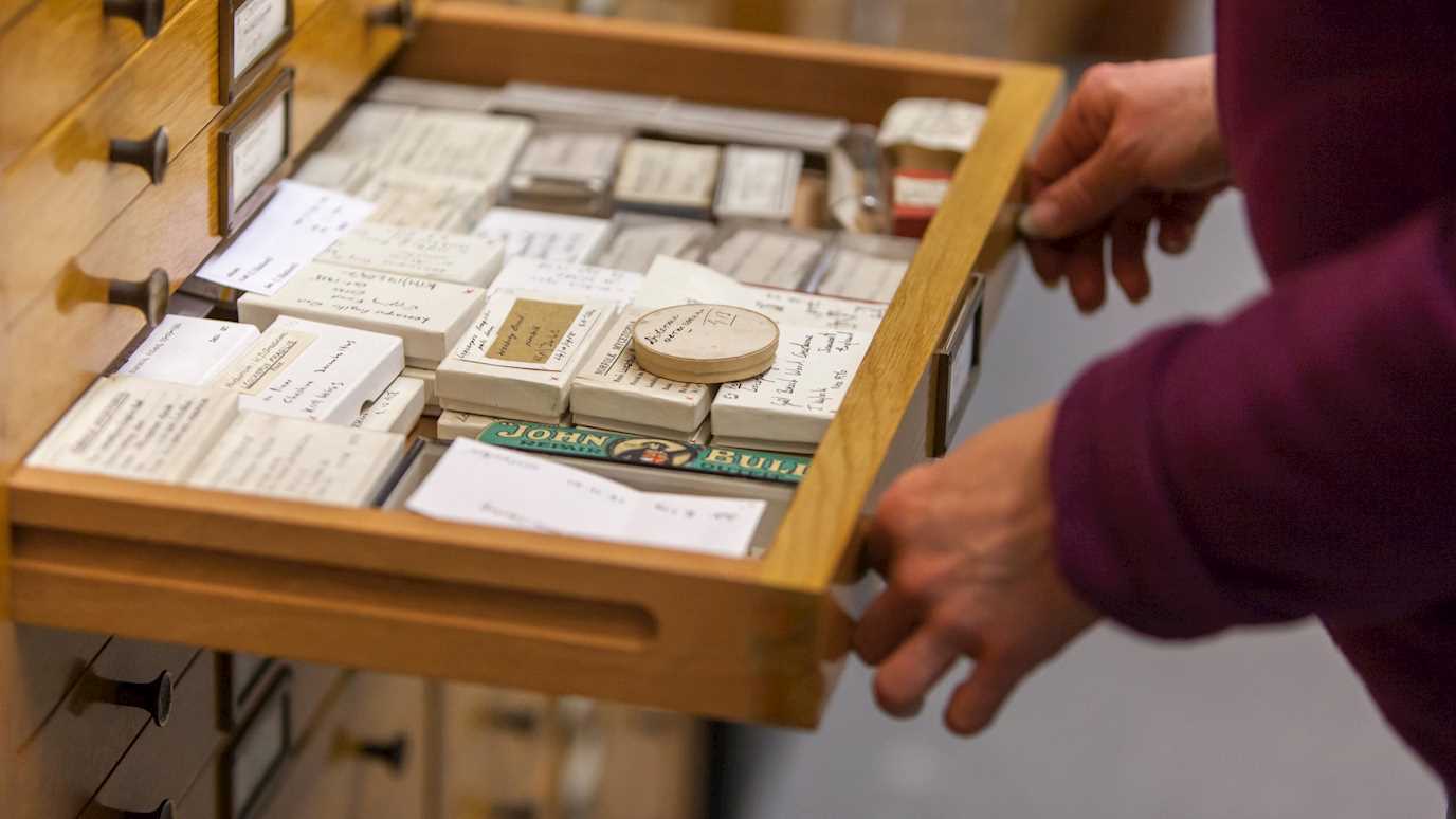 MobileMuseum_Data_GG2019