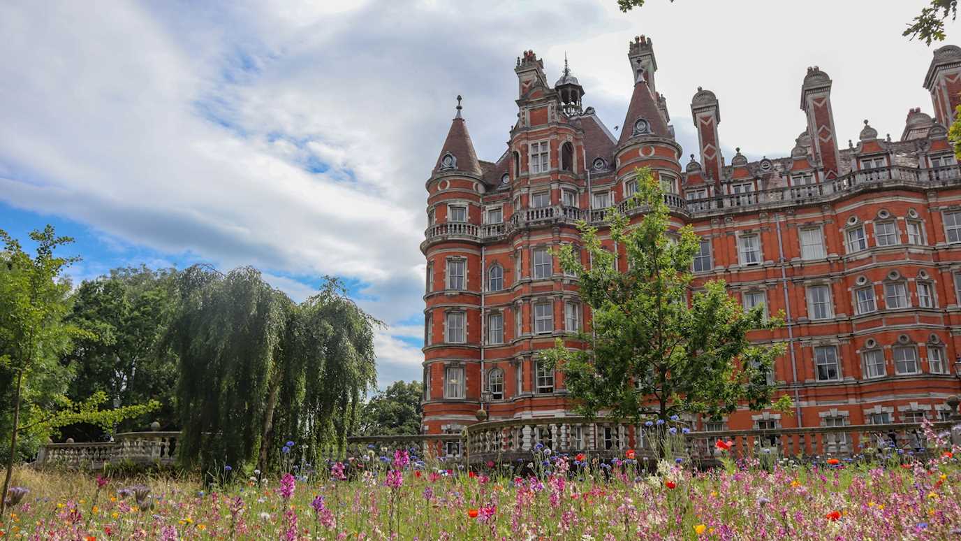 Founders in Summer - flowers (6 of 35).jpg