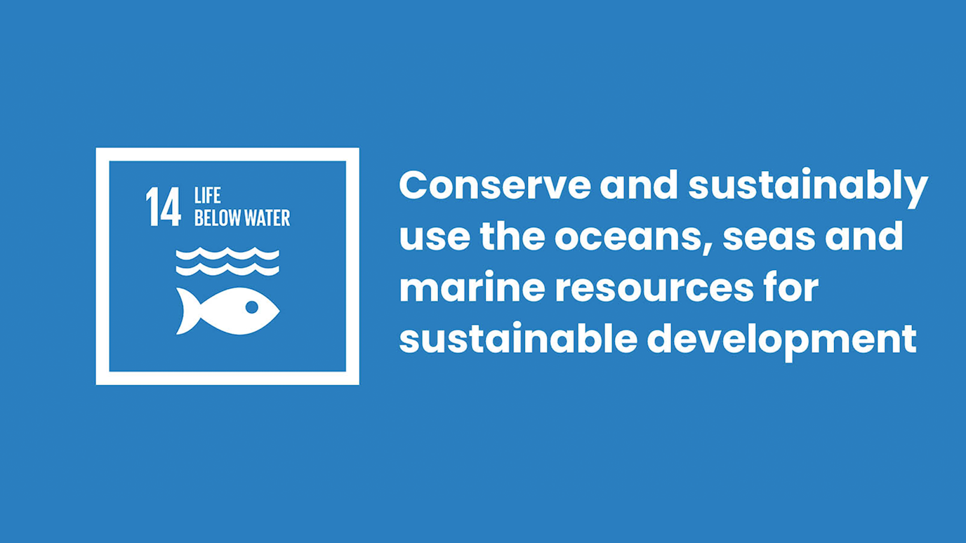 SDG 14 logo for website.png