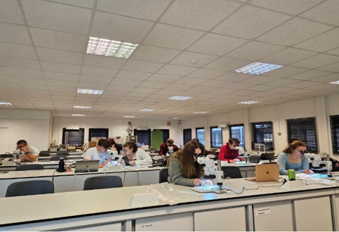 A group of people sitting at desks in an office

Description automatically generated