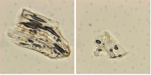 Image of Tephra