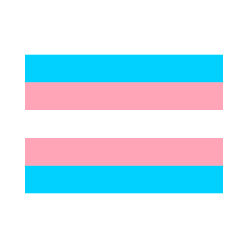 Trans Flag Vector 800