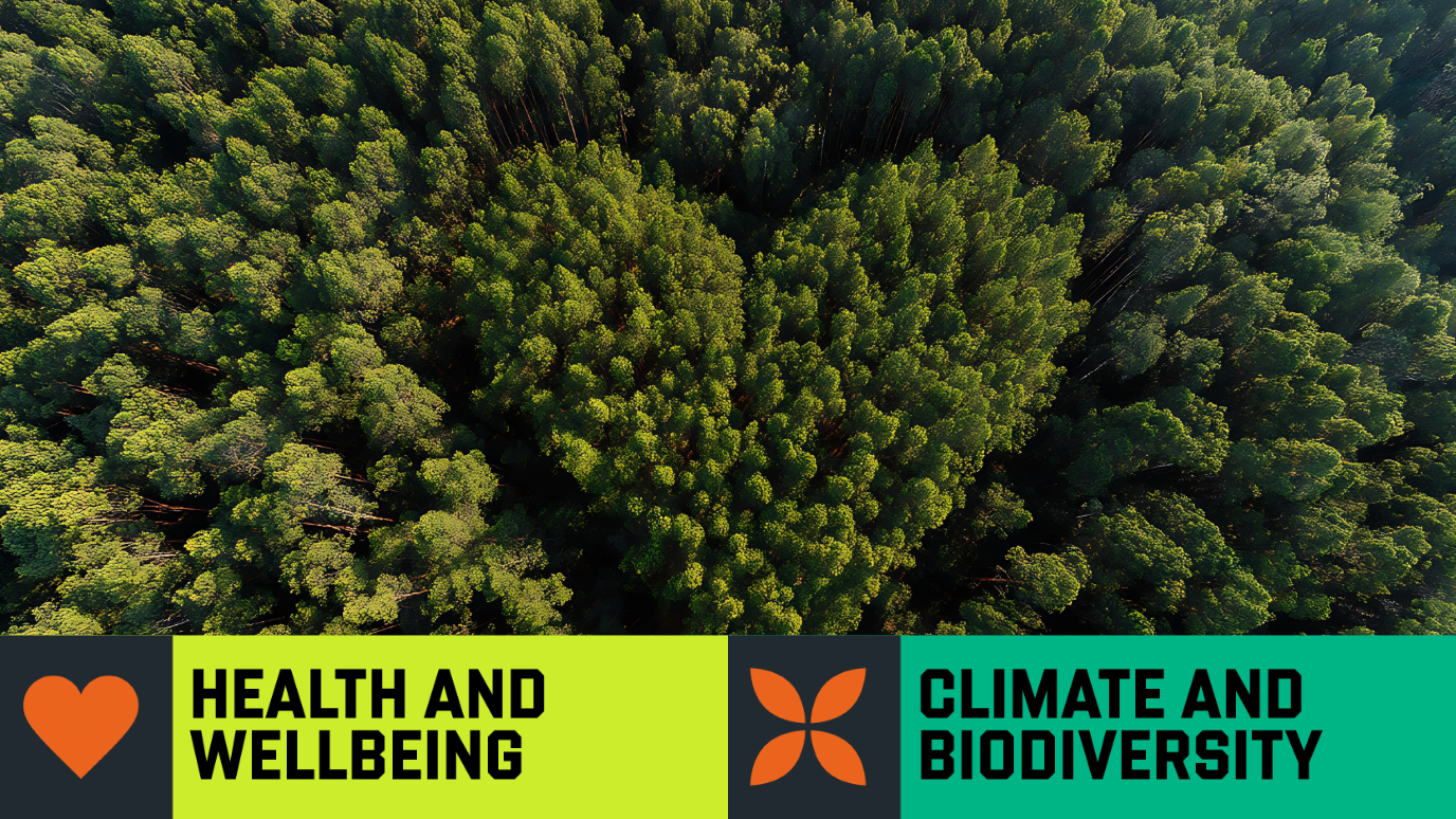 Research Stories Environment And Heart Health